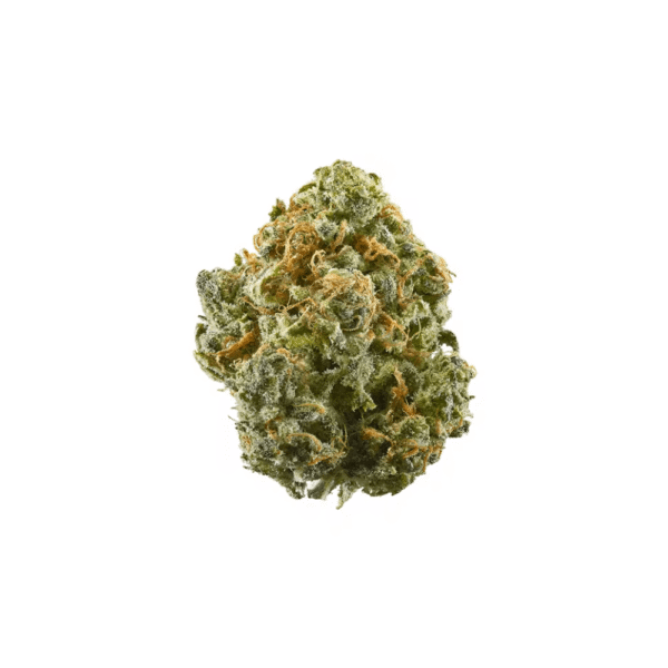 White Amnesia (AAA+)