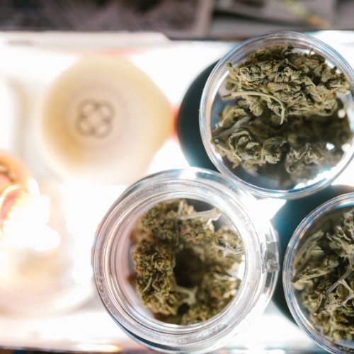Cannabis storage guide